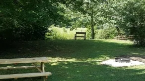 Campsite #1 !! Private Tent Camping near Dupont! - Image 4