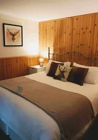 Waterfall Lodge - a secluded tranquil retreat - Image 5