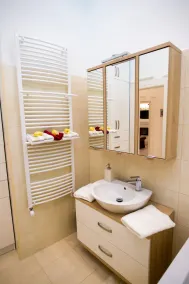 Luxury in downtown Debrecen - Image 5
