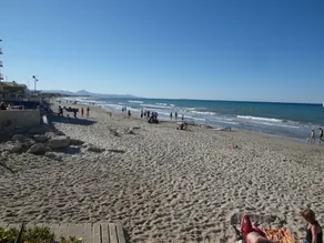 Denia Deveses - Image 4