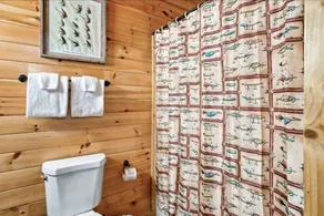 Trout & About Pigeon Forge Cabin- Hot Tub! - Image 5