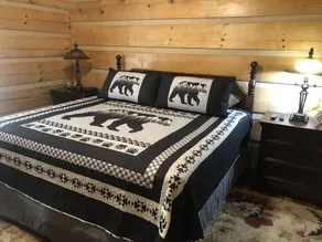 Homey Cozy Dog Friendly Cabin Surrounded By Beautiful Mountain Trees w/Hot Tub+ - Image 3
