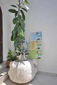 Apartments Slavica - Image 5