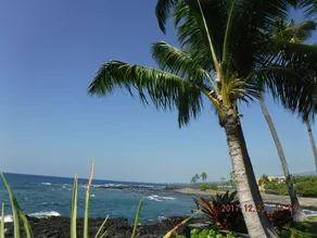 Meer, Strand, Pool - nur wenige Schritte entfernt - aktualisiert und wunderschön! - Image 5