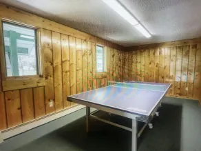 STOWE, VT  2+ Bedrooms -  President's Week 2024 - Image 5