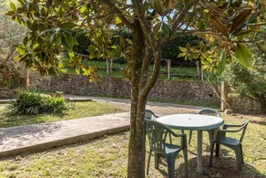 Agriturismo Il Ponte - Frantoio - Image 4