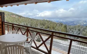 Spacious 1-bedroom Apartment With Balcony - Image 4