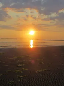 Beach Paradise! Unmatchable Sunsets, Hot Tub, Luxurious Ocean View, A/C, & more! - Image 5