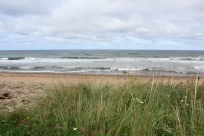 Beachfront Cottage in Broad Cove Marsh - Image 5