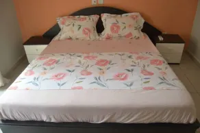 High Standing Furnished Apartment - Image 5