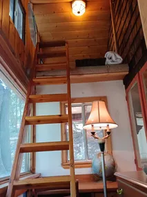 Peaceful 1920s Cozy Cabin snuggled in 100 ft Pines -Palomar Mt, Bailey Meadows - Image 2