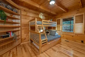 Familienfreundliche Hütte mit Whirlpool, Angelteich & Spielzimmer 45 Min. bis Asheville - Image 5