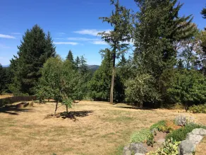 Lots of nature - Image 5