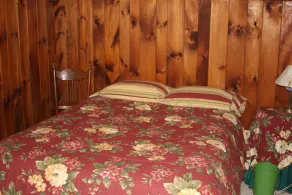 Adirondack Lake House- fish, swim, bike, hike, paddle.....Relax - Image 2