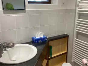 Gîte de charme au bord de l'eau, à 30min du Mans, cadre paisible avec pêche et randonnées à proximité - FR-1-410-414 - Image 3