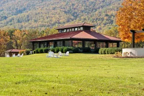 Afton Mountain Vineyards - Image 2