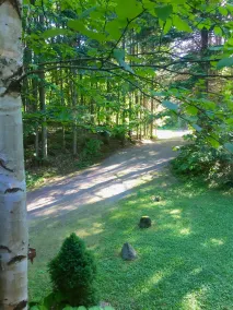 Richview on Morrison Lake, Gravenhurst - Muskoka - Image 4
