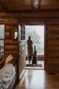 The Wood House-- Scandinavian log cabin in Muskoka - Image 4