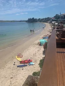 Opossum Bay - Sul bordo delle acque - Image 4