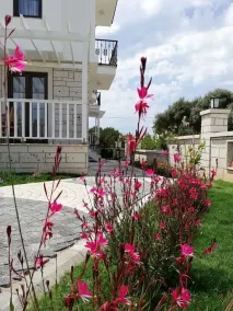 Ersin Konak - Image 2
