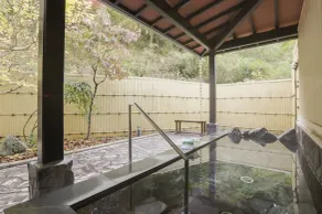 New building Japanesestyle room 8 tatami mats wi / Kaisogun Wakayama - Image 3