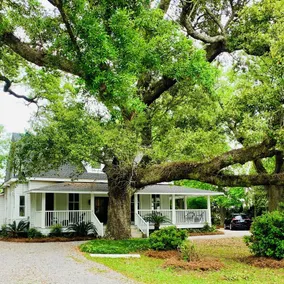 Azalea Suite at The Mockingbird Inn - Image 5