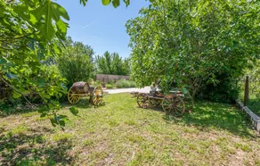 Beautiful home in Katuni - Image 3