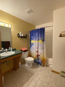 Hansen Shores on Sunset Point - 300 Ft Shoreline - Full Kitchen/sleeps 9 - Image 2