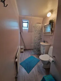 Hus i Småland, WiFi, renoveret 2018/19, ideelt til hundeejere - Image 3