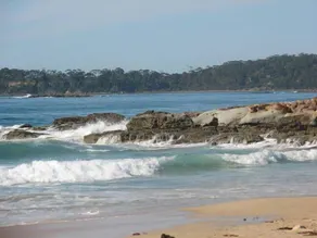 Narrawallee Creek Studio - Image 3