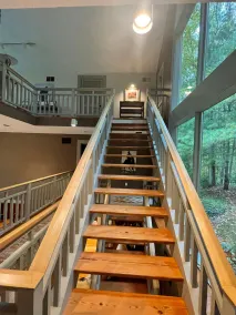 42 Acres of Serenity & Nature Just 15 Miles To Annapolis - Image 4