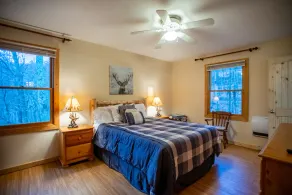 Serene Mtn cabin, views, hot tub, skiing, hiking, close to Asheville  - Image 5