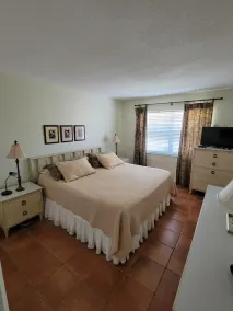Pompano Holiday Gem - Image 5