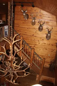 Secluded Rustic Cabin w/Wifi on 160 Acres near Illinois River & Lake Tenkiller - Image 2