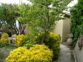 Villa ensoleillée avec vue imprenable sur le village et la mer - Image 4