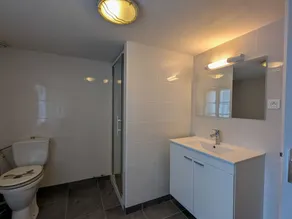 Charming Ground-Floor Cottage in Brenne with Enclosed Courtyard, Near Fishing and Birdwatching Spots - Image 3