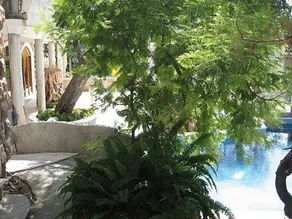 Levantin Inn One Third Room N2 Sea Side - Image 4
