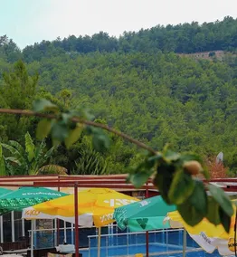 Batu pansiyon - Image 3