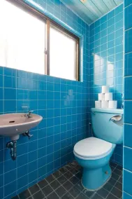 Naha Tomarin House - Image 4