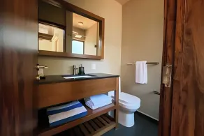 Chalet with private pool and jacuzzi - Image 3