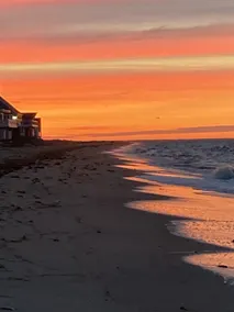 Det gule sommerhus! På Delaware-bugten er ryggen til tilflugtssted for dyreliv! - Image 4