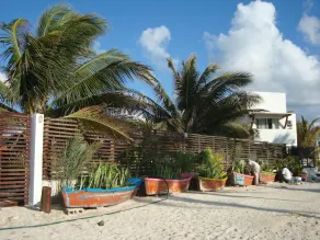 La Casa del XIX / com palapa espetacular e piscina maia - Image 3