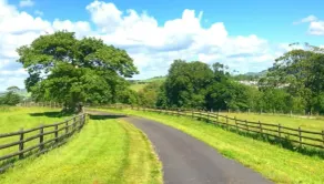 Romantic Rural Break In Countryside Castle Grounds Private Retreat Wizards Rest - Image 5