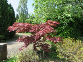 Cottages Located In A Stunning South Facing Two Acre Private Garden Setting - Image 5