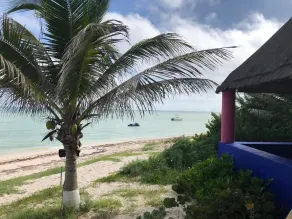 Penthouse en bord de mer sur Chicxulub / Progreso - Image 2