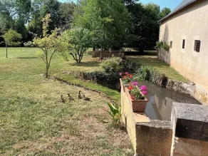 Country gîte \"Le Moulin\" (stream, meadow, garden...) - Image 4