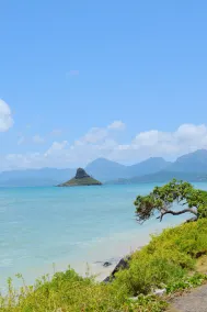 Zurück in die Zeit des Echt Hawaii und das ultimative Getaway. - Image 5