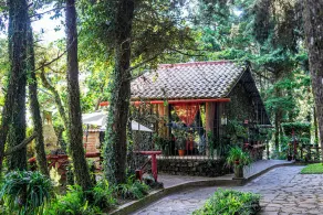 Los Naranjos Town Houses - Image 5