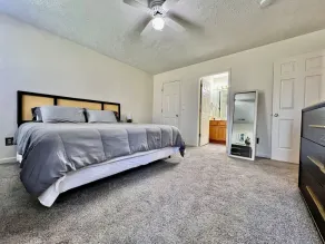240 Overbrook NEW Franks funky and fashionable furnished home - Image 5