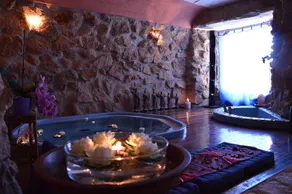 Magic luxury villa, swimming pool, SPA, tennis, wooded park. - Image 3